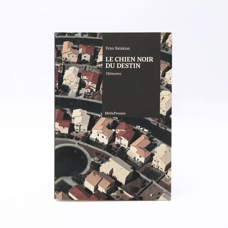 Le chien noir du destin