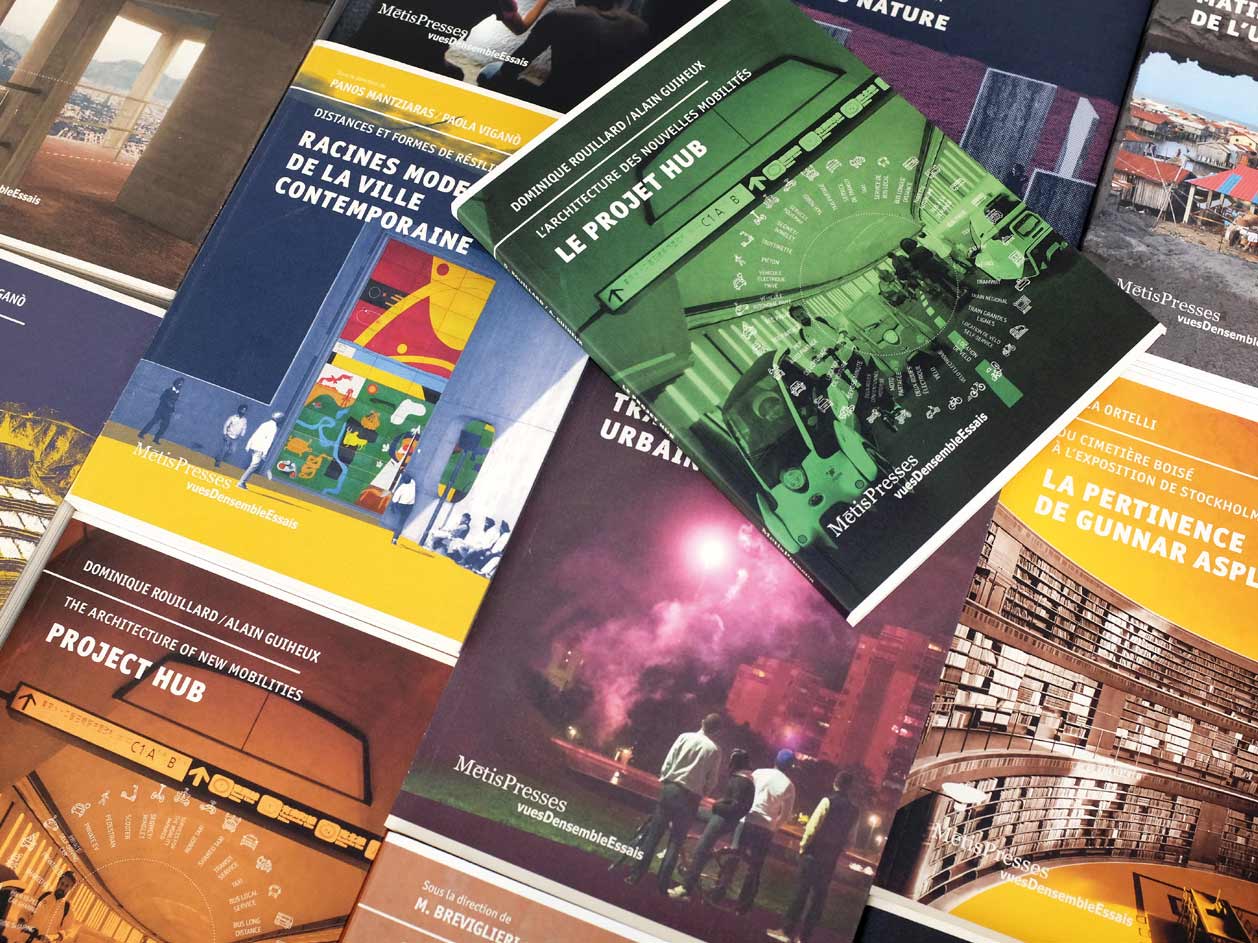 Collection vuesDensemble Essais et LignesDerre