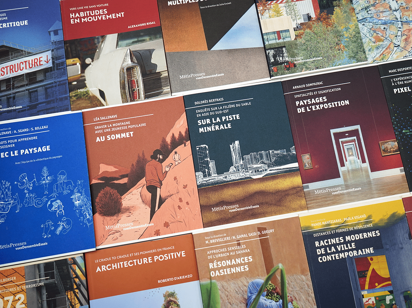 Collection vuesDensemble Essais et LignesDerre